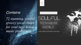 Bingoshakerz - Variavision Soulful Tech House Vocals