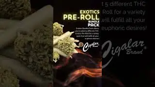 Exotics Preroll