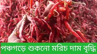 Price of dried chillies increases in Panchagarh ||