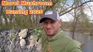Morel Mushroom Hunting Spring 2020