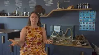 A Story of the Motherfish - the impact of microplastics