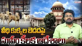 వీధి కుక్కల బెడదపై సుప్రీం కీలక ఆదేశాలు | Supreme Court Cracks Down On Stray Dog Menace in India