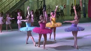 DANZA   HADAS DEL BOSQUE