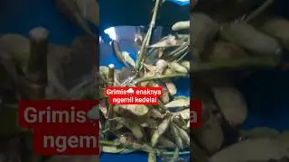 #ngemilenak #ngemilyuk #ngemilsehat #kedelai