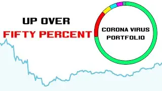 My Pandemic Portfolio | How I'm up over 50%