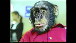 AOL Instant Messaging VoiceStream commercial with chimps