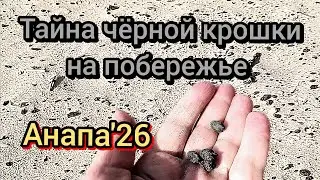 #Анапа #крошканапляжахчтоэто? #кафеупаркаджунгли #морепляж