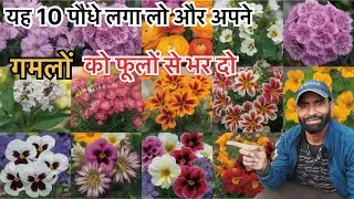January Mein Lagane Wale 10 Phool | Winter Flower Plants | Gardening Tips Hindi
