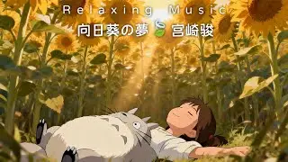 🍀2026靜心必聽｜60分鐘宮崎駿輕音樂🎹情緒釋放・身心鬆綁｜午休/睡前/日常循环播放🌿Relaxing Music