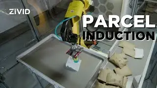 Robotic Parcel Sorting in Warehouses | Zivid 3D Vision