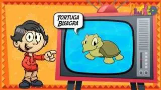 Las especies end&eacute;micas de M&eacute;xico