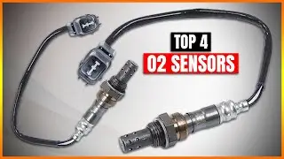 Best O2 Sensors 2026