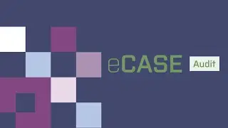 eCASE Audit
