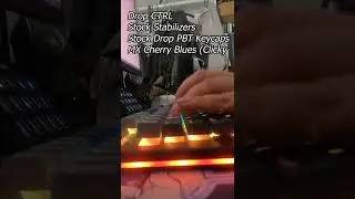 Drop CTRL Soundtest | MX Cherry Blues (clicky) vs Akko Jelly Blacks (unlubed linear) #shorts