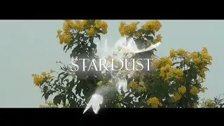 ZEAY - Stardust (Official Music Video)