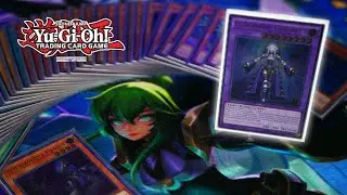 Pure Shaddoll Just Got STRONKER! | Deck Profile, Budget Options, & Combo Tutorial!
