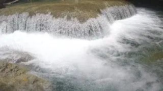 hidden river in Ocho Rios (jamaica)  @juniorlifestyleoffishing