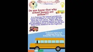 Why are school busses yellow and more videos #shorts#facts#dailygkdose