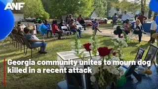 Georgia community comes together after dog attack