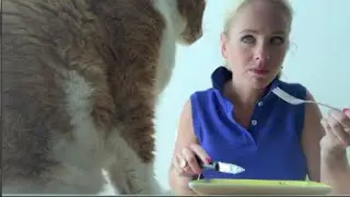 THE CAT WHO CAME TO DINNER // Kate Welshofer