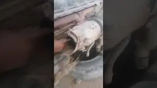 معلومات هتفيدك عن المكنه