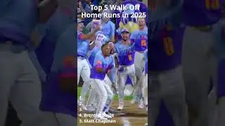Top 5 Walk-off Homers 2025!