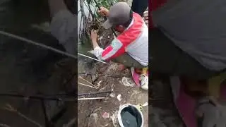 Angler Raja Nila @ramlankehed
