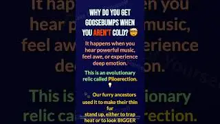 The Unexpected Reason You Get Goosebumps  Discover the shocking evolut...