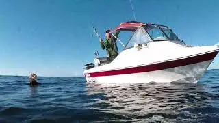Freediving Old Woman Island (Sunshine Coast)