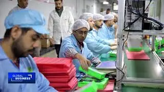 Egypt expands local mobile assembly as imports drop