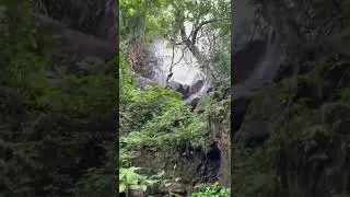 Hidden waterfall in Orissa|Durgapadu waterfall 1 | ఒరిస్సా అడవిలో దాగి ఉన్న జలపాతం  #trendingshorts