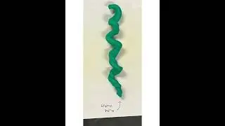 Protein Structures by Hannah Wu