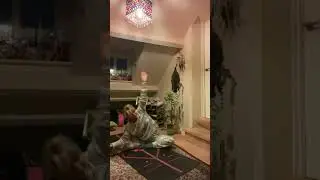 Cozy PJ Yoga Practice for compass pose, to guide us into the New Year ahead with Peace and Calm🙏🏻🥰N