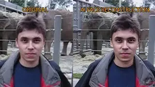 Me at the zoo - AI Face Reconstruction 4K Enhanced (240p vs 4K)