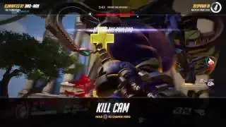 Rohog madness