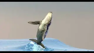 Houdini Flip Fluid Simulation - Frameboxx Thane - Pratik Dhangar