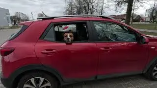 RZEKA MIENIA OD ŹR&Oacute;DEŁ cz. 1/2