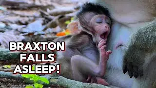Sleepy Time for Little Braxton &mdash; He&rsquo;s Just Too Cute!, @monkeyscorner