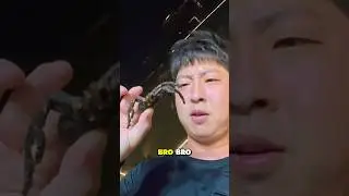 Eating Tarantula from losing a coin toss 🇰🇭