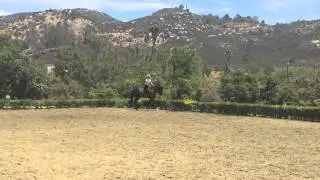 Britta Pedersen & Ubby Schooling in California 2014
