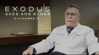Plagas Modernas y Exodus: Gods and Kings