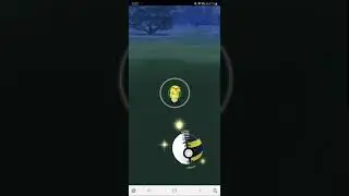 catching a shiny Caterpie in Pokemon Go