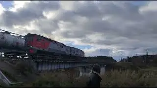 2тэ25км - 0534 пролетает перегон Кингисепп-Сала Октябрьской железной дороги 
