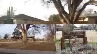 Tech Terrace near Texas Tech