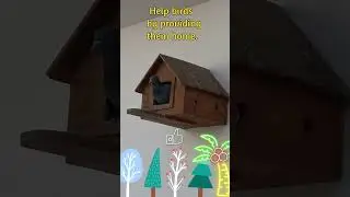 Help birds @ Ace Alpha Info #shorts #trending #viral