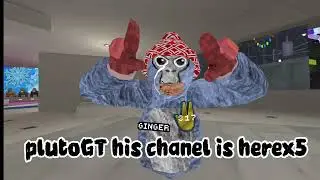 support a monkey
