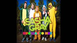 Sasha Gray - Прошлого Нет (2014) EP