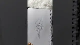 #bdartist #bangladesh #drawing #viral #pencildrawing #pencilart #blackandwhite #viralvideos #artwork