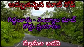 #giddalur to #nandyal #ghat #roadtrip #గిద్దలూరు - నంద్యాల ఘాట్ రోడ్డు ప్రయాణం