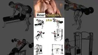 Rear Shoulder Exercises That Actually Build Muscle #shorts #fitness #gains
